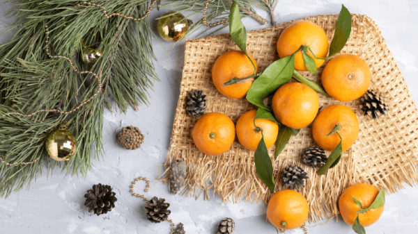 Mandarin Festival
