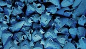 Museum of Underwater Archaeology