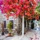 Explore Bodrum While Walking